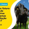Webinar Barenbrug no MilkPoint sobre forrageiras na pecuária de leite