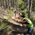 Carving and sculpting the tricky terrain of Wicks reserve - Australia