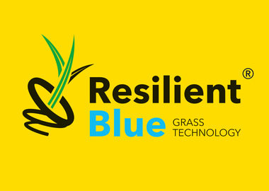 Logo-Resilient-Blue-HR-2024-yellow!
						
